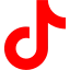 Follow on TikTok